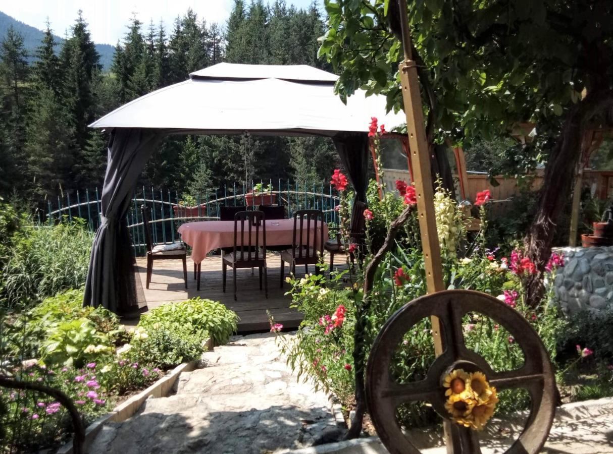 Guest House Milka Ягодина Экстерьер фото