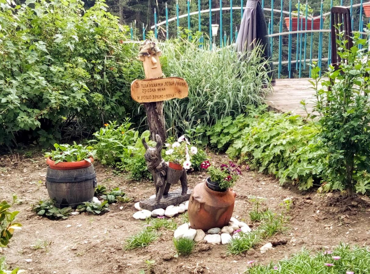 Guest House Milka Ягодина Экстерьер фото