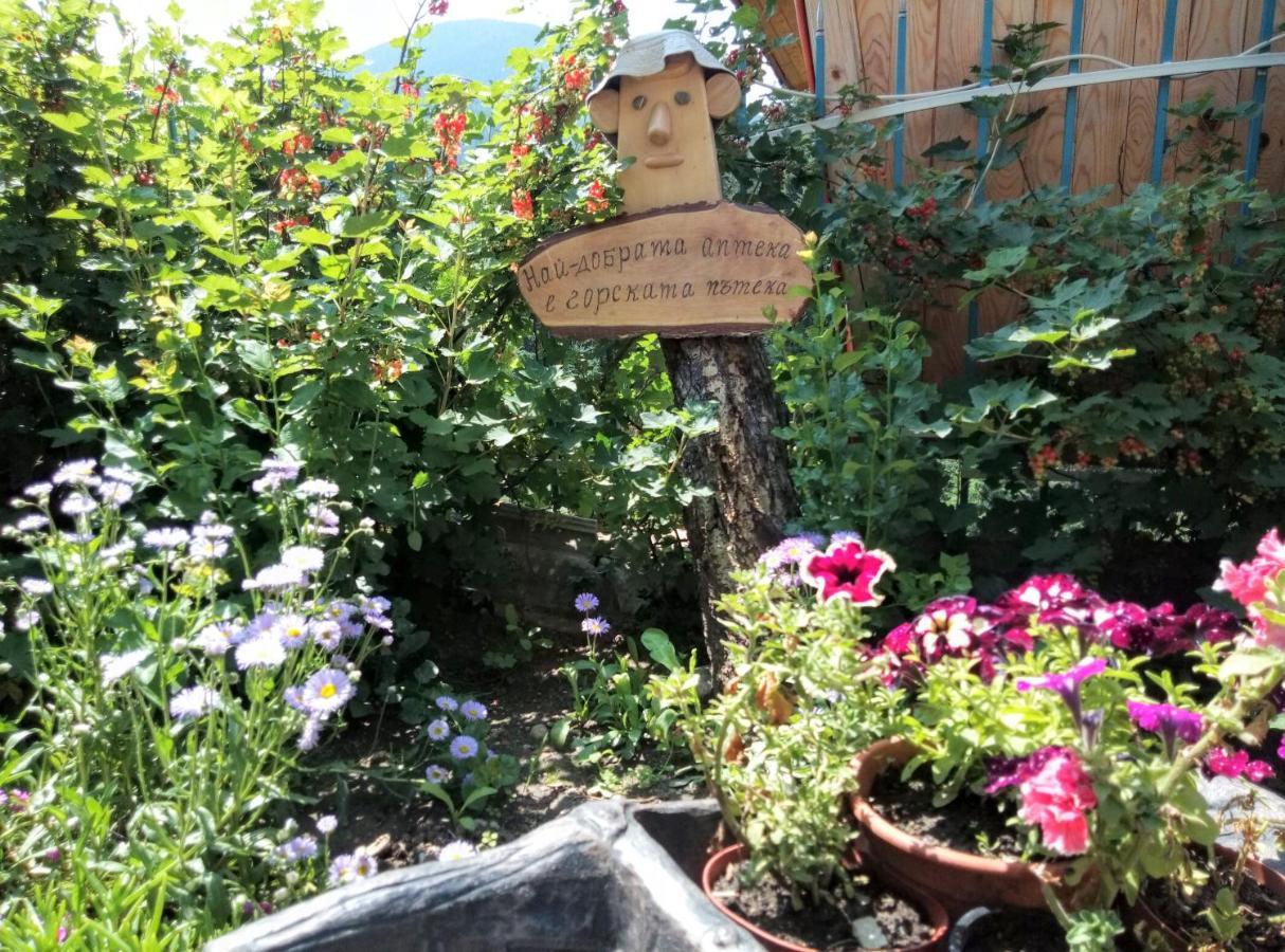 Guest House Milka Ягодина Экстерьер фото