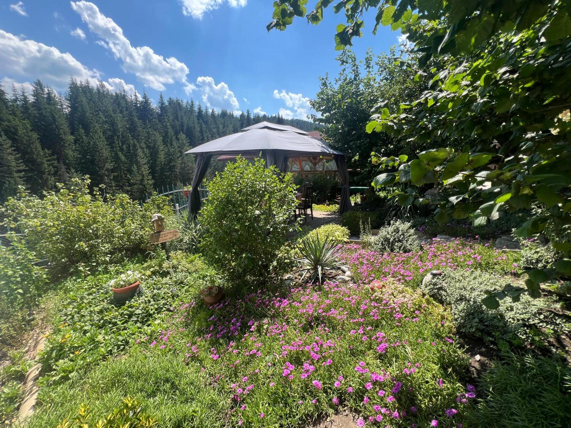 Guest House Milka Ягодина Экстерьер фото