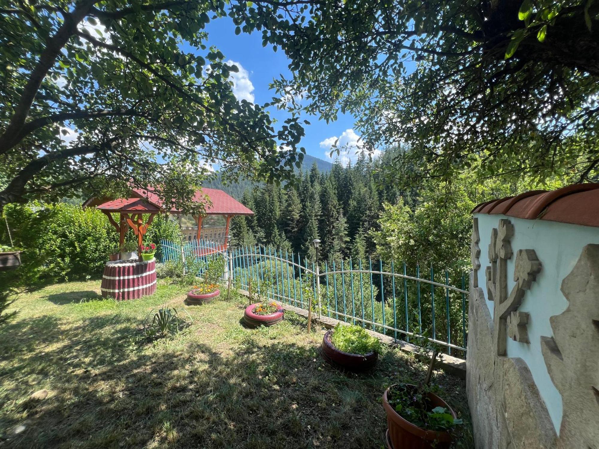 Guest House Milka Ягодина Экстерьер фото