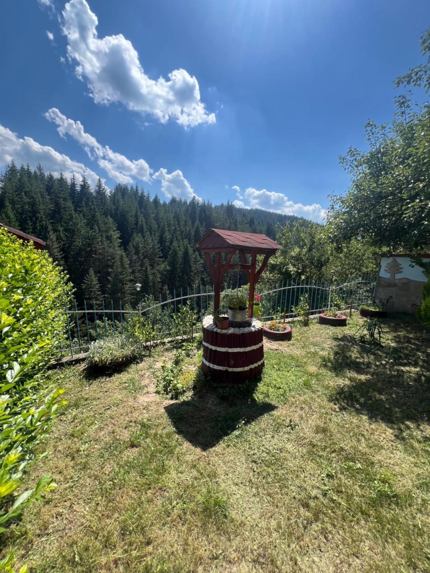 Guest House Milka Ягодина Экстерьер фото